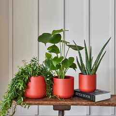 Lisbon Planter Coral 26cm Height 26cm Dia