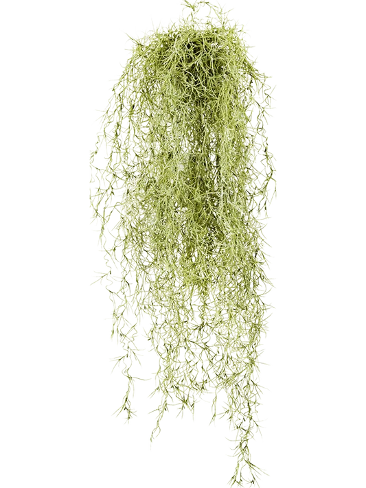 Long hair Artificial Plant Premium Faux 80cm Height