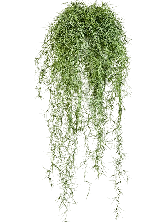 Long hair Artificial Plant Premium Faux 80cm Height