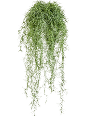 Long hair Artificial Plant Premium Faux 80cm Height