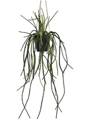Lycopodiaceae Hanging Artificial Plant Premium Faux 85cm Height