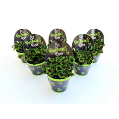 20 - 30cm Oxalis Triangularis Deppei 13cm Pot House Plant