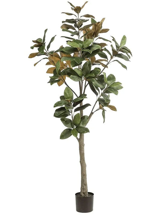 Magnolia Denudata Artificial Plant Premium Faux 180cm Height