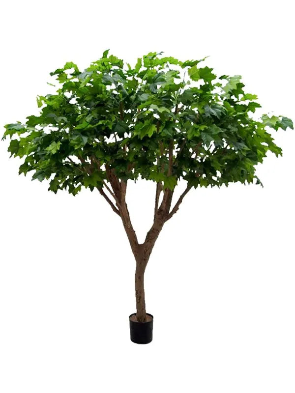 Maple Deluxe Artificial Plant Premium Faux 240cm Height