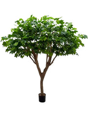 Maple Deluxe Artificial Plant Premium Faux 240cm Height