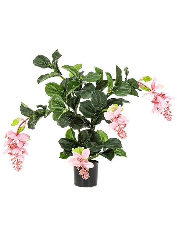 Medinilla Artificial Plant Premium Faux 78cm Height
