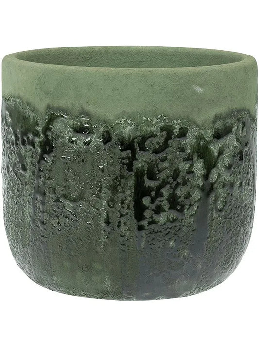 Moon Plant Pot 13cm Height 13cm Dia Pot Jungle