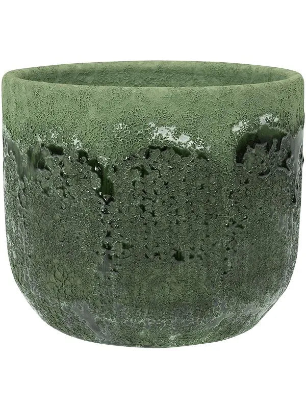 Moon Plant Pot 15cm Height 15cm Dia Pot Jungle