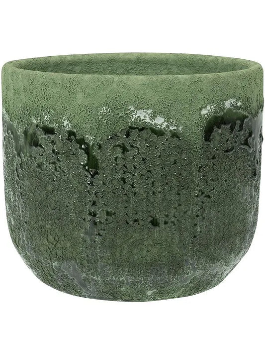 Moon Plant Pot 15cm Height 15cm Dia Pot Jungle