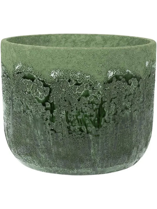 Moon Plant Pot 16cm Height 16cm Dia Pot Jungle