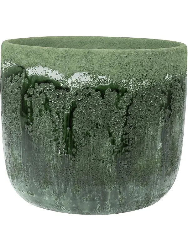Moon Plant Pot 20cm Height 20cm Dia Pot Jungle