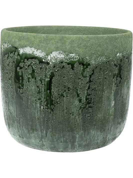 Moon Plant Pot 20cm Height 20cm Dia Pot Jungle