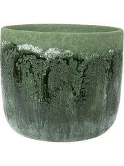 Moon Plant Pot 20cm Height 20cm Dia Pot Jungle