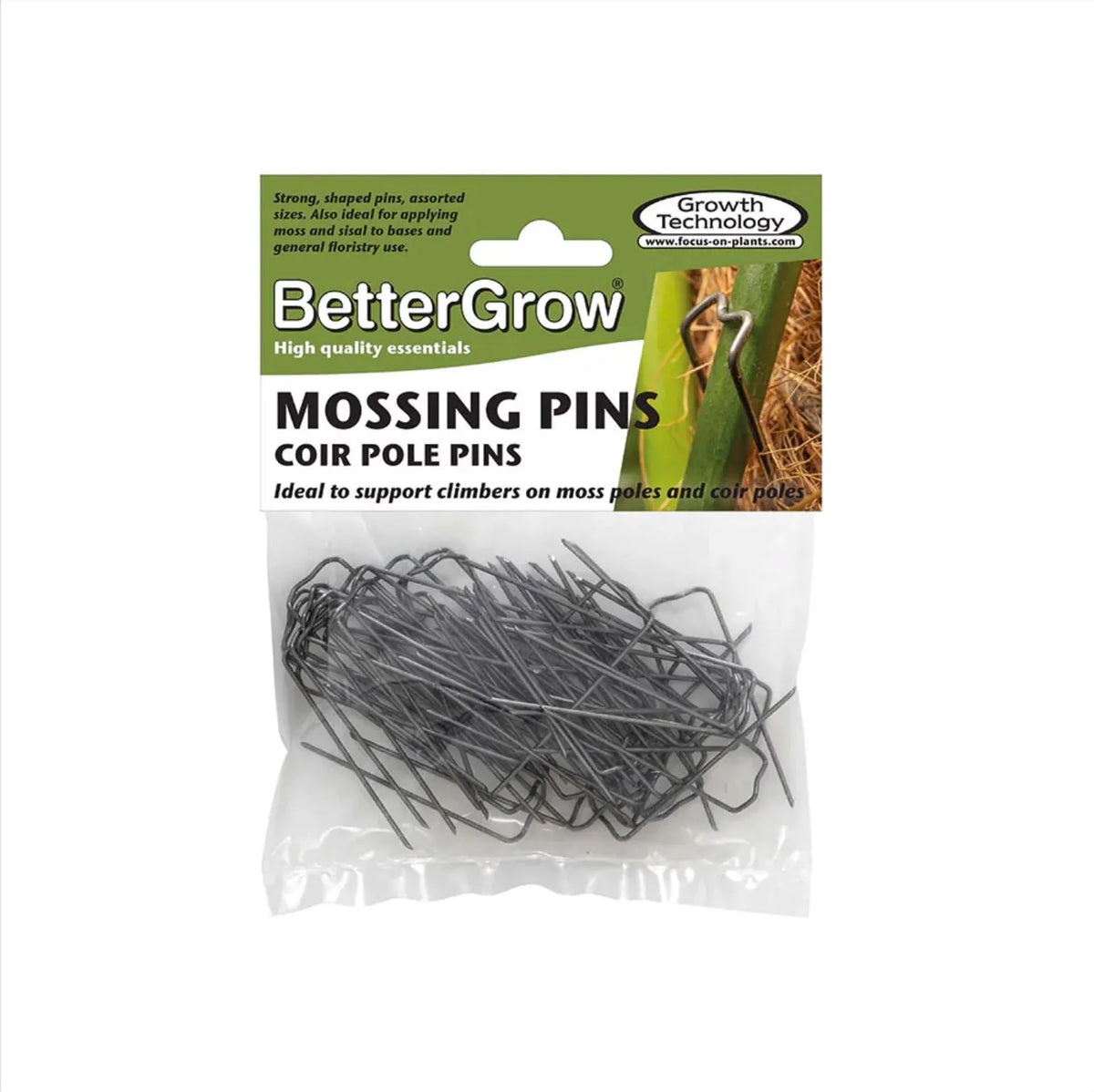 Mosspole Pins (Pack of 50)