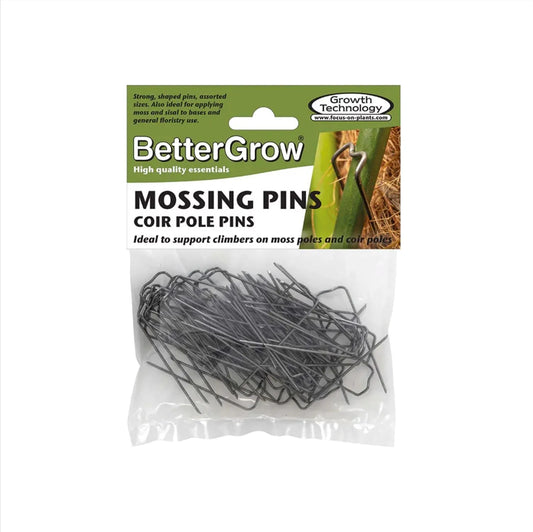 Mosspole Pins (Pack of 50)