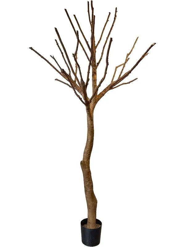 Natural Trunk Artificial Plant Premium Faux 285cm Height