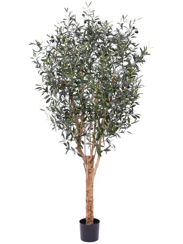 Olea Europea Artificial Plant Premium Faux 185cm Height