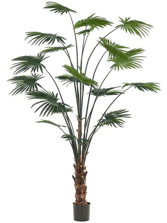 Palm Livistona Artificial Plant Premium Faux 240cm Height