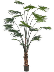 Palm Livistona Artificial Plant Premium Faux 240cm Height