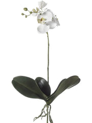 Phalaenopsis Artificial Plant Premium Faux 55cm Height