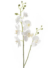 Phalaenopsis Artificial Plant Premium Faux 95cm Height