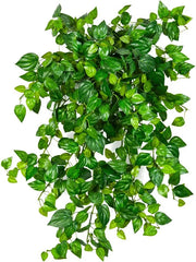 Philodendron Artificial Plant Premium Faux 50cm Height