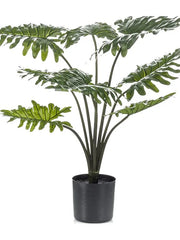 Philodendron Artificial Plant Premium Faux 80cm Height
