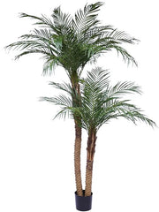 Phoenix Artificial Plant Premium Faux 225cm Height
