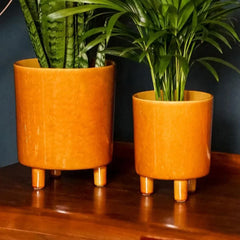 Pisa Mustard Planter 19cm Height 16cm Dia