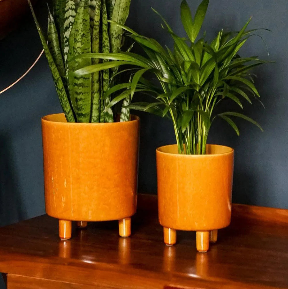 Pisa Mustard Planter 24cm Height 20cm Dia