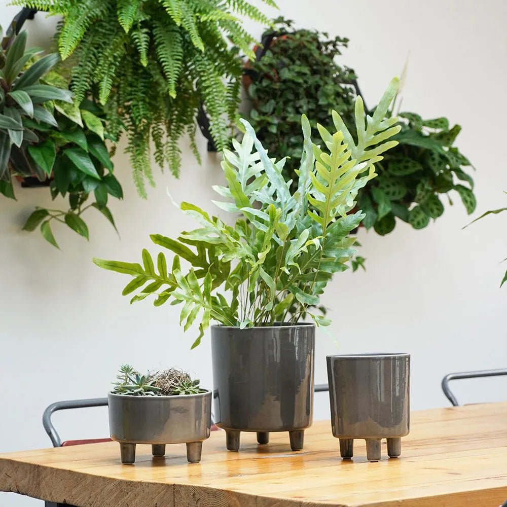 Pisa Slate Planter 19cm Height 16cm Dia