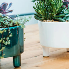 Pisa White Bowl 14cm Height 19cm Dia