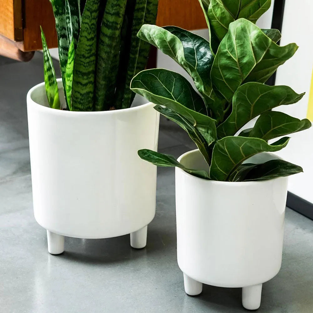 Pisa White Planter 19cm Height 16cm Dia