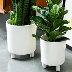 Pisa White Planter 19cm Height 16cm Dia