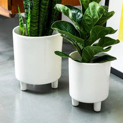 Pisa White Planter 24cm Height 20cm Dia