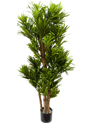 Pleomele Song Of Jamaica Artificial Plant Premium Faux 120cm Height