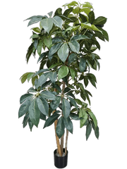 Schefflera Artificial Plant Premium Faux 175cm Height