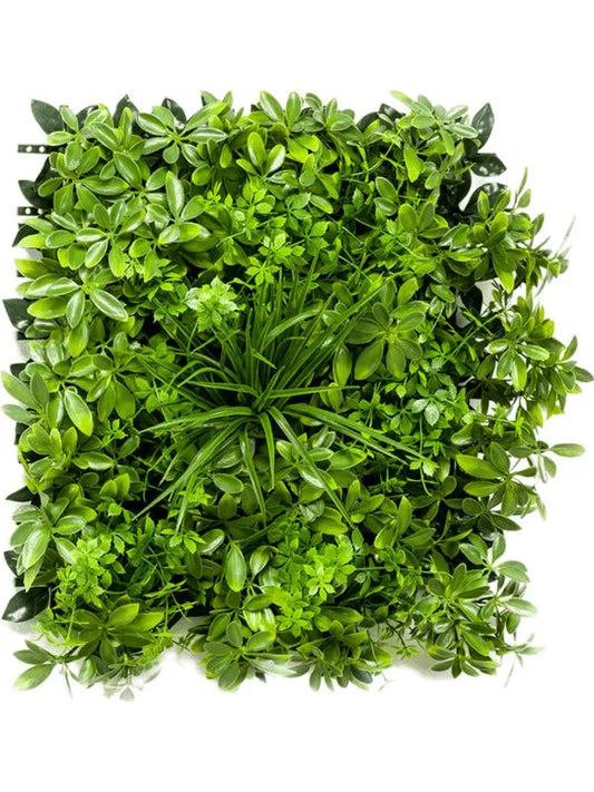 Schefflera Artificial Plant Premium Faux cm Height