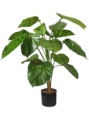 Scindapsus Aureum Artificial Plant Premium Faux 90cm Height