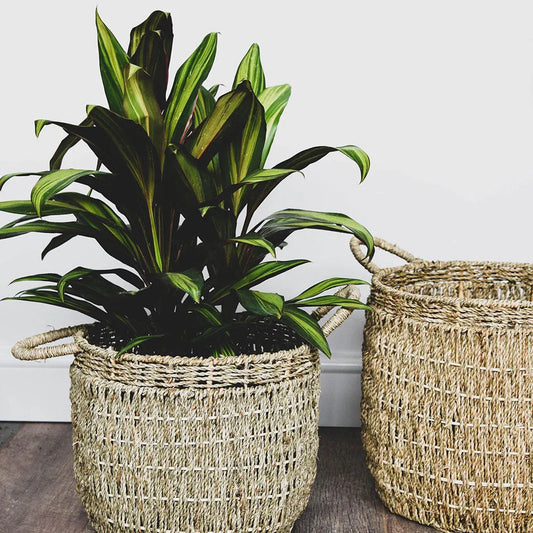 Seagrass Lined Basket Natural Set of 2