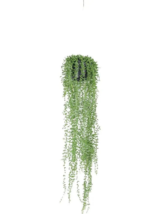 Senecio Artificial Plant Premium Faux 70cm Height
