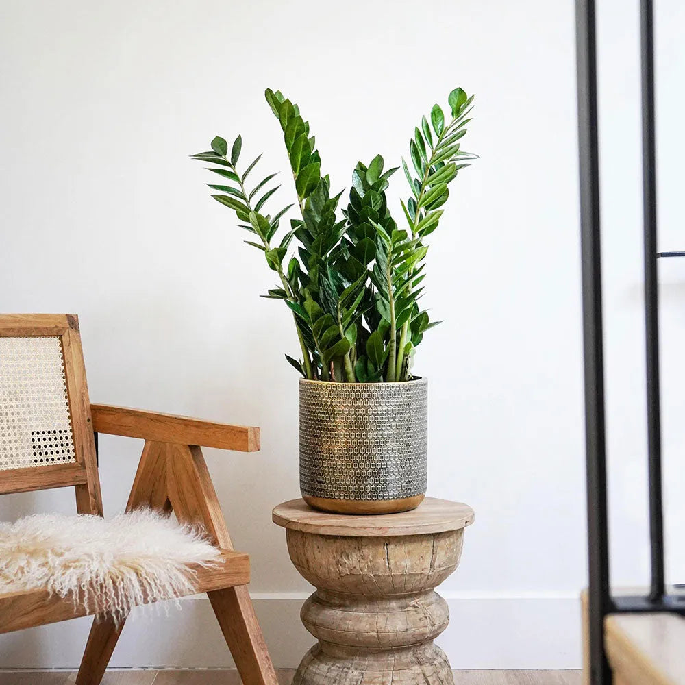 Solis Embossed Planter Gold 25cm Height 25cm Dia