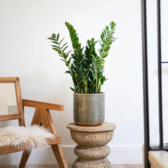 Solis Embossed Planter Gold 25cm Height 25cm Dia