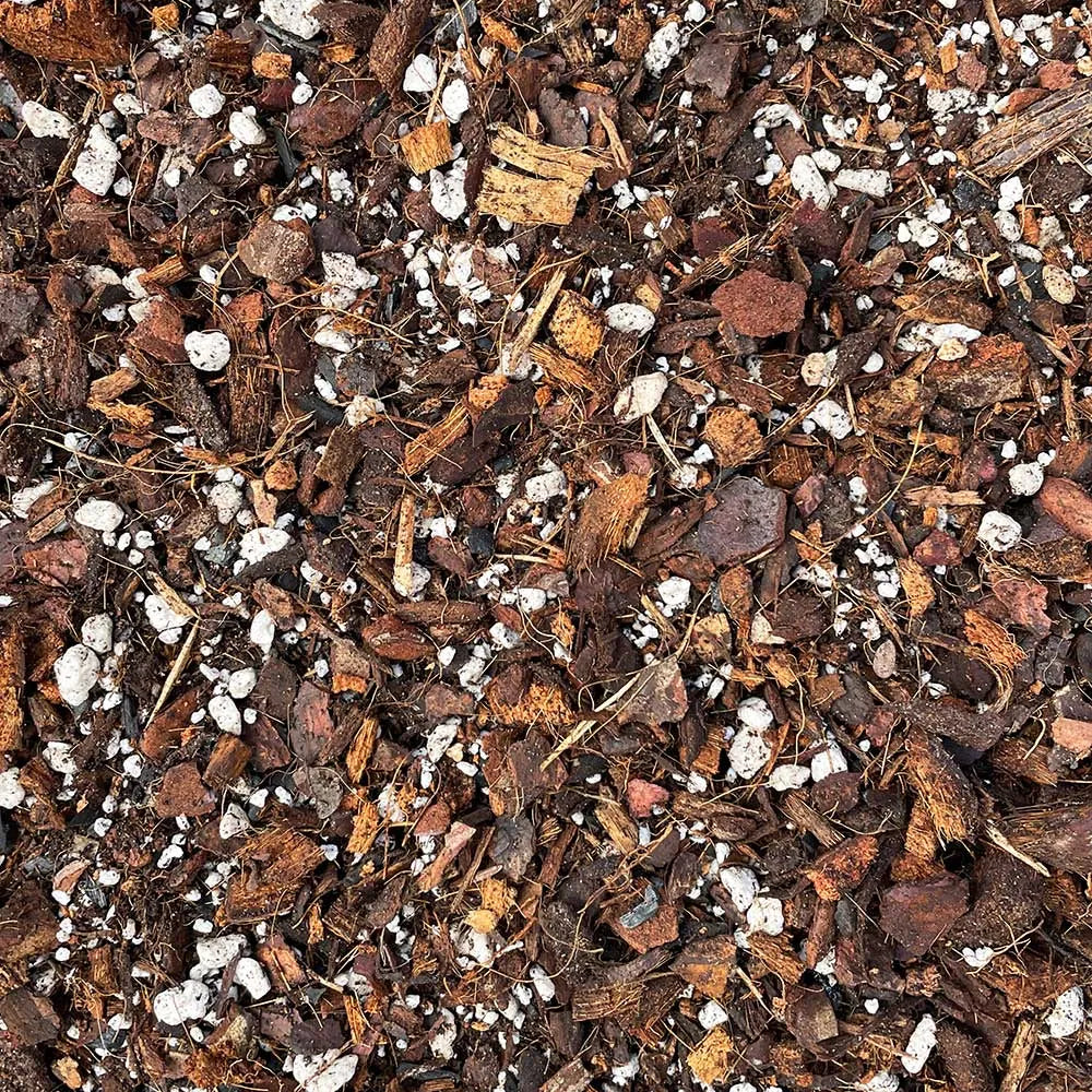 Syngonium & Epipremnum Potting Mix 2.5ltr