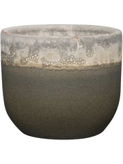 Tara Plant Pot 15cm Height 14.5cm Dia Pot Forest