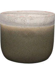 Tara Plant Pot 20cm Height 20cm Dia Pot Forest