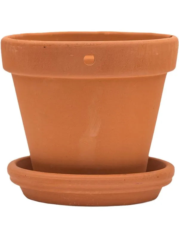 Terra Cotta Plant Pot 13cm Height 12cm Dia Wall Pot With Saucer