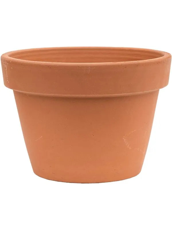 Terra Cotta Plant Pot 16cm Height 22cm Dia Flowerpot