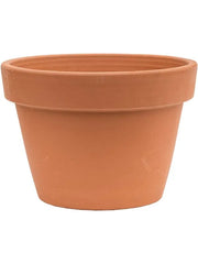 Terra Cotta Plant Pot 16cm Height 22cm Dia Flowerpot