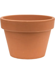 Terra Cotta Plant Pot 17cm Height 24cm Dia Flowerpot